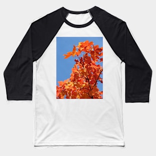 Autumn Baseball T-Shirt